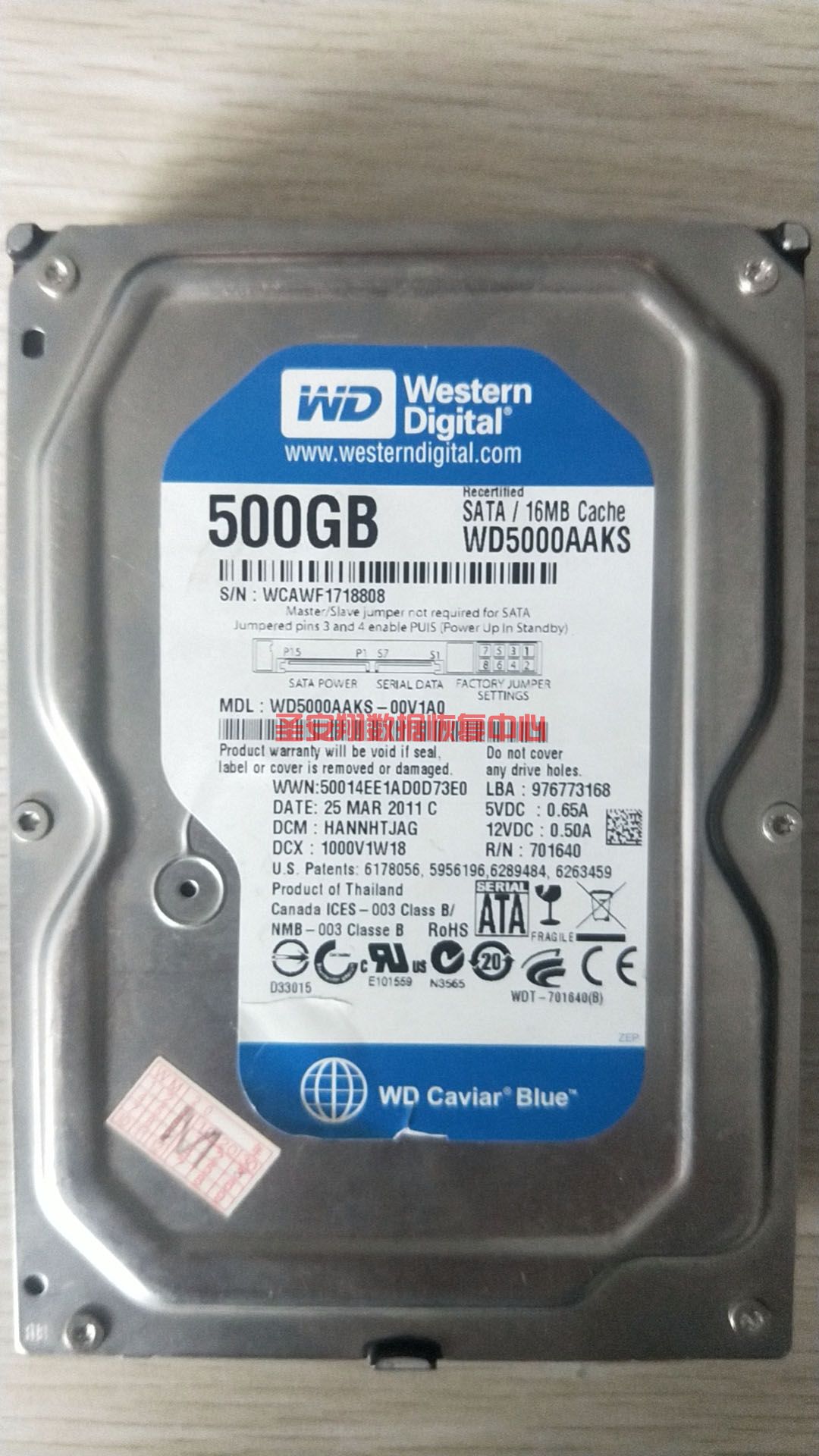 8888888888888888888888888888.jpg