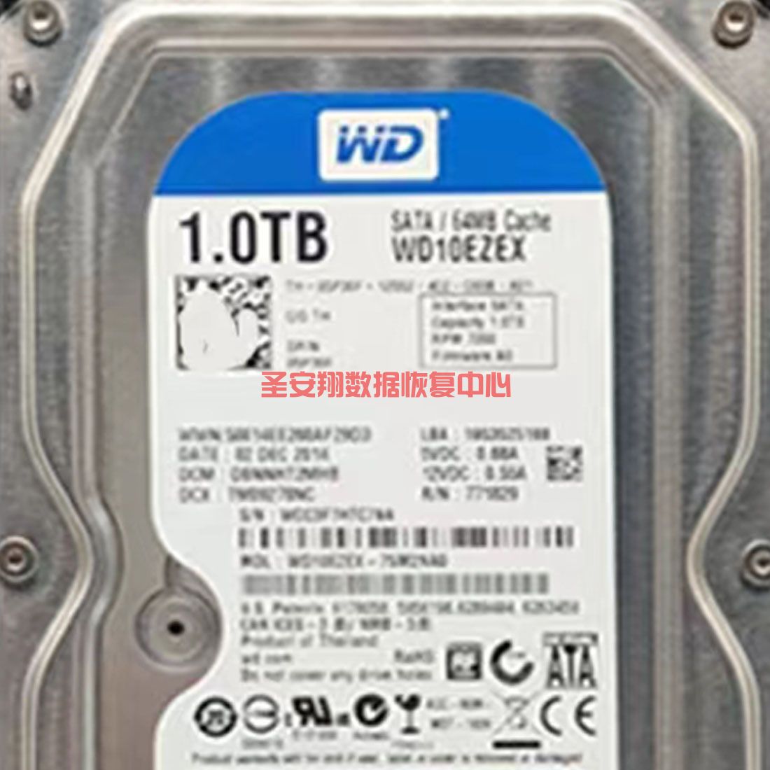 111111111111111111111111.jpg
