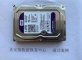 双城西数1T硬盘磁头损坏数据恢复成功