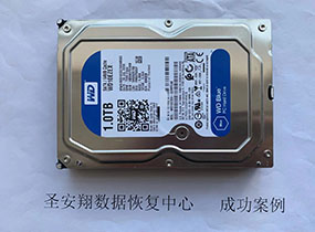 桦南西数1T监控视频误删除数据恢复成功