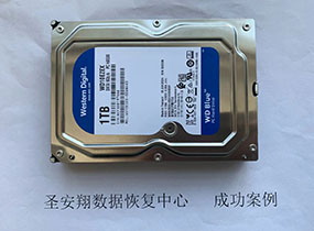 友谊西数1T监控录像误删除数据恢复成功