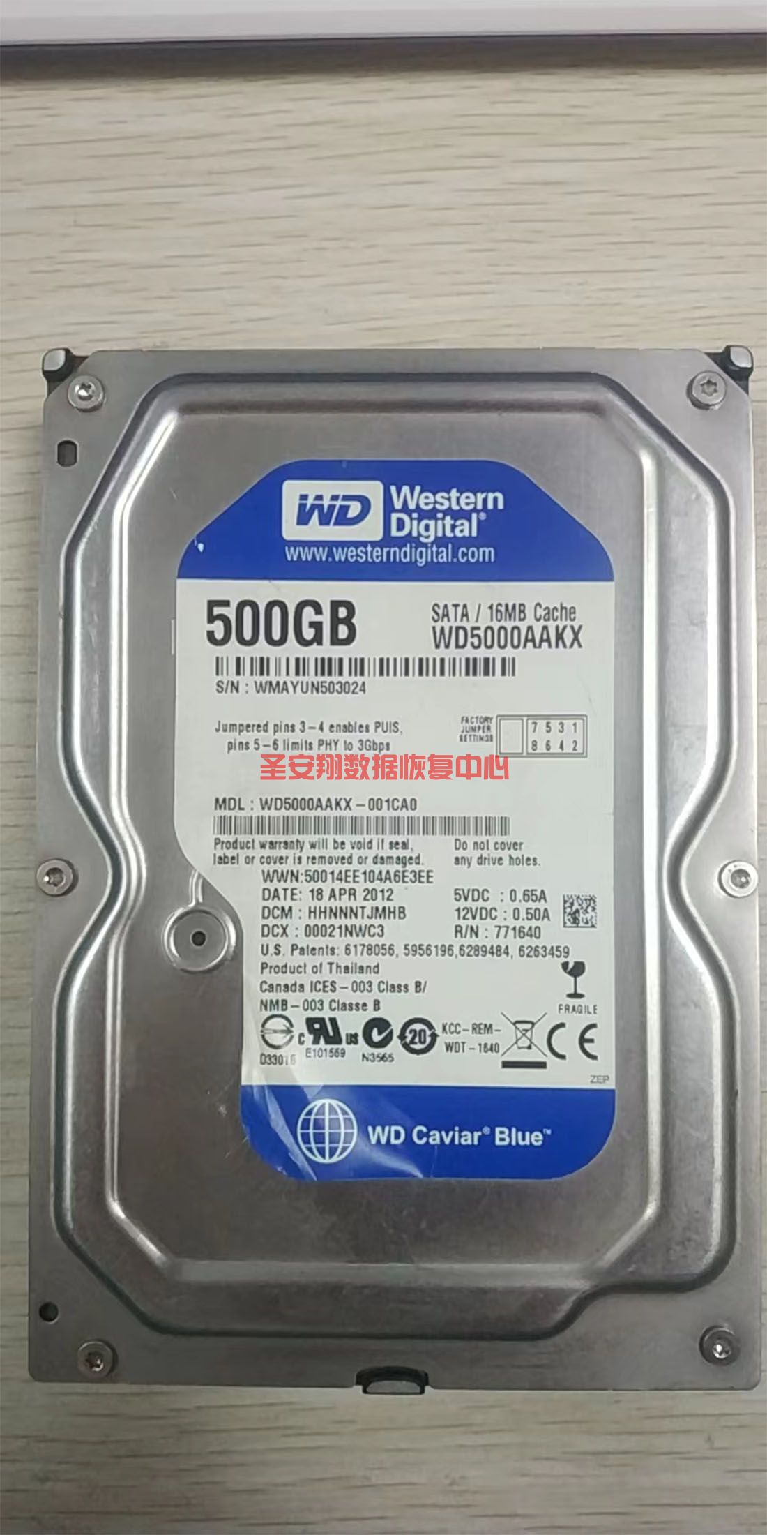 6666666666666666666666666666.jpg